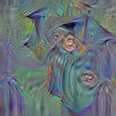 n02669723